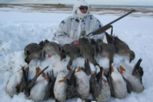 Охота на весеннего гуся