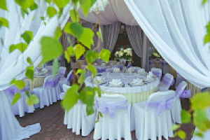 Организация свадеб