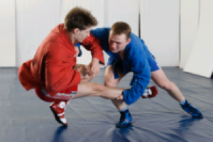 Школа самбо Гончарова