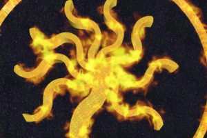 анимация логотипа