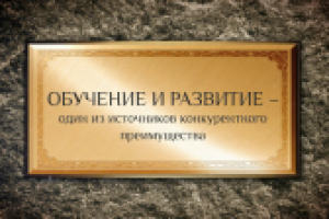 презентация PMI matrix