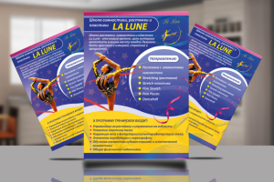 Флаер для школы гимнастики