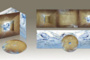 Дипломная работа