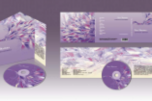 Дипломная работа