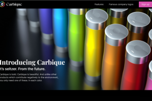 Introducing Carbique