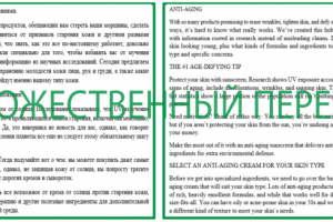 Художественный перевод