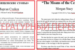 Литературный перевод