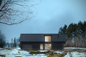 Визуализация жилого дома