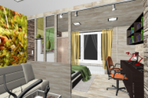 квартира делового человека