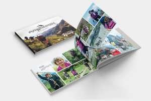 Фотоальбом корпоративного похода в горы для сотрудников компании