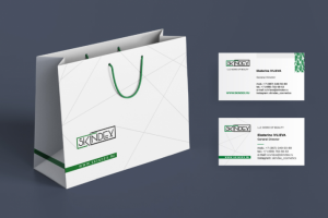 Бумажный пакет и визитки для компании бьюти-сферы