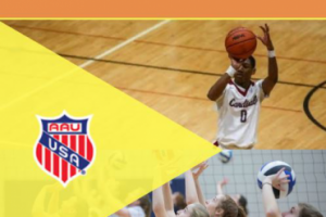 ИССЛЕДОВАНИЕ АРЕН ДЛЯ АМАТОРСКОГО КОМАНДНОГО СПОРТА