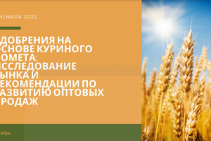 Исследование рынка и рекомендации по развитию оптовых продаж