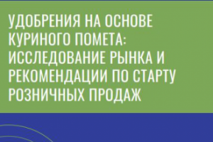 Исследование рынка и рекомендации по старту розничных продаж