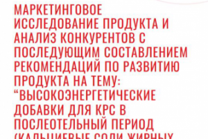 Маркетинговое исследование продукта и анализ конкурентов