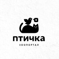 img3278278.png