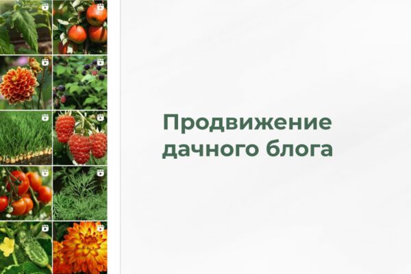 img4604977.png