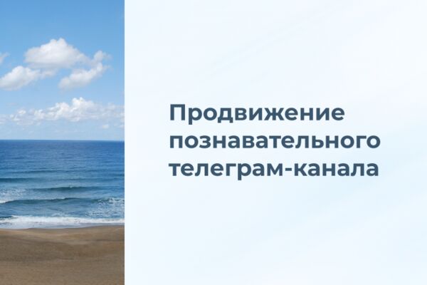 img4604975.png