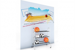 Стенды для дворца игровых видов спорта "ДИВС"