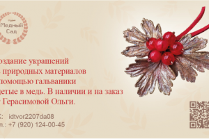 студия медный сад