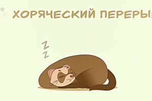 Анимация для youtube-канала