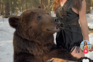 Коллаборация NastenkaSavich и медведя Тома