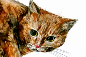 Кот красками