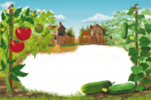 Огурец помидор