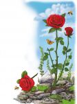 img1876820.png
