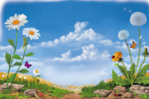 Одуванчик и ромашка