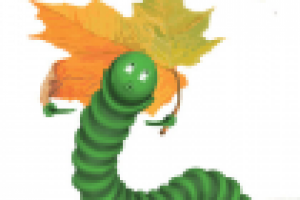 Вчера были очень большие