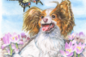 иллюстрация к стихам из серии "Учим добрые слова"