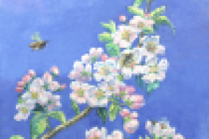 Ветка яблони, иллюстрация для проекта "Нравственные посевы"