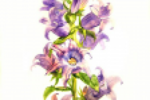 Колокольчик