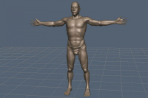 Работа 2636307