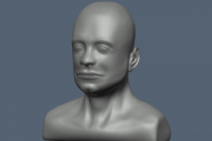 Работа 2636311