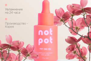 Создание карточек для маркетплейсов