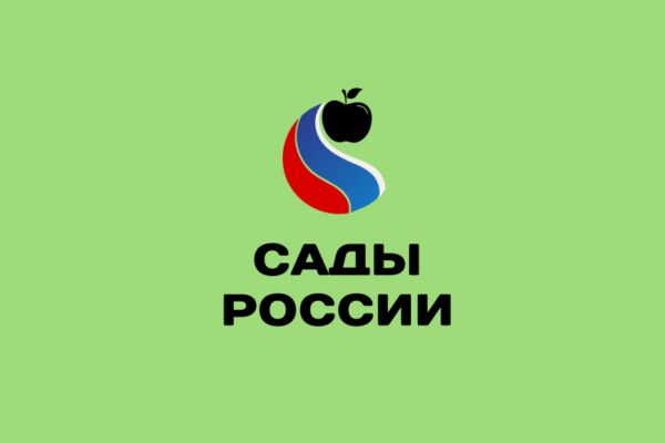 img4602505.png