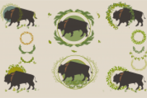 Работа 2835169