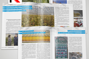 Дизайн, верстка и предпечатная подготовка