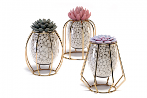 Декор искуственные суккуленты