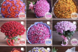 Venikoff.net более 60тыс.подписчиков