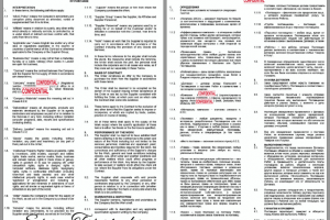 Перевод общих условий договора