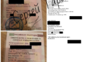 Свидетельство о регистрации ТС