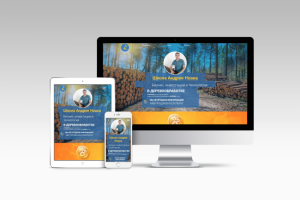 Бизнес инвестиции