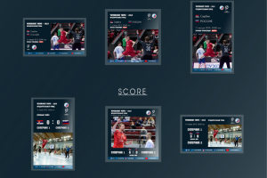 Баннеры для Федерации Гандбола России