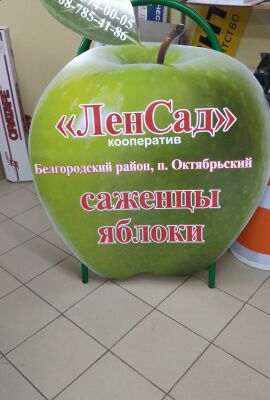 img3753218.png
