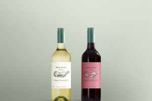 Этикетки вин