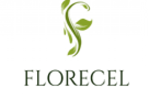 текст для раздела "Дизайн-студия" сайта компании Florecel