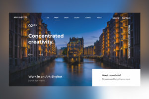 Concentrated  Creativity